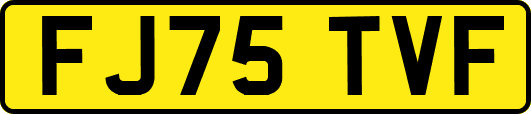 FJ75TVF