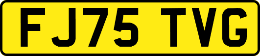 FJ75TVG