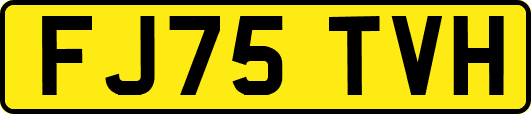 FJ75TVH