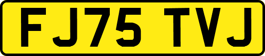 FJ75TVJ