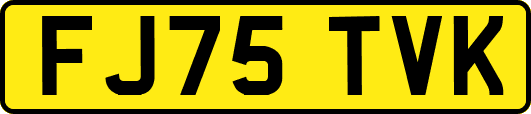 FJ75TVK