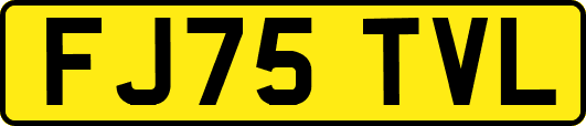 FJ75TVL