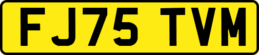 FJ75TVM