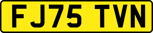 FJ75TVN