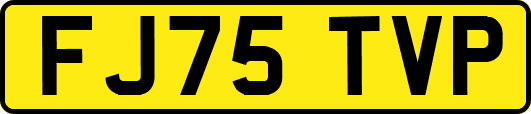 FJ75TVP