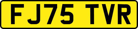 FJ75TVR