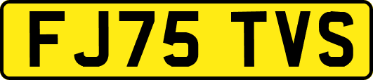 FJ75TVS