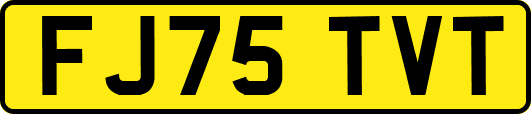 FJ75TVT