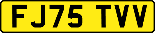 FJ75TVV
