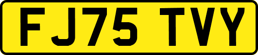 FJ75TVY