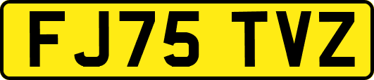 FJ75TVZ