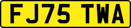 FJ75TWA