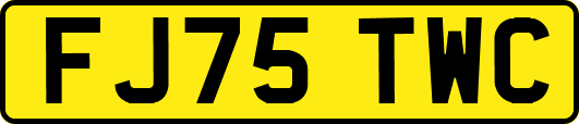 FJ75TWC