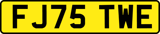 FJ75TWE