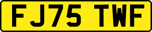 FJ75TWF