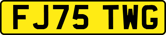 FJ75TWG