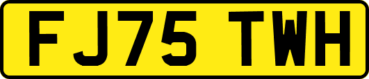 FJ75TWH