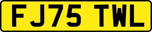 FJ75TWL