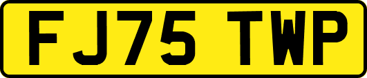 FJ75TWP