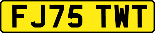 FJ75TWT