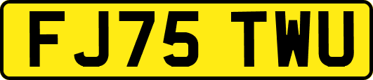 FJ75TWU