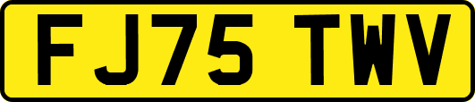 FJ75TWV