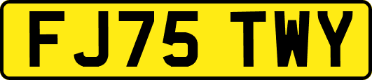 FJ75TWY