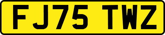 FJ75TWZ
