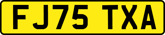 FJ75TXA