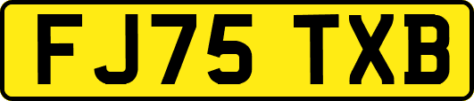 FJ75TXB
