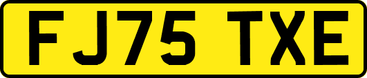 FJ75TXE