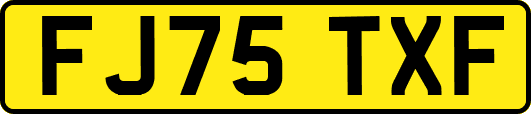 FJ75TXF