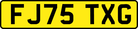 FJ75TXG