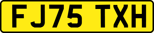 FJ75TXH