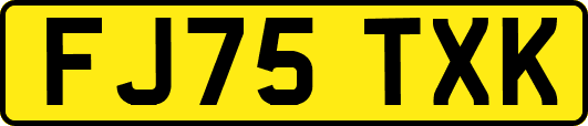 FJ75TXK