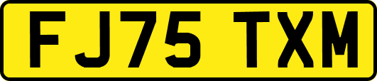 FJ75TXM