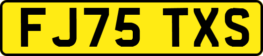 FJ75TXS