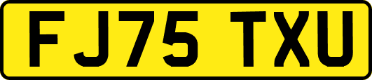 FJ75TXU