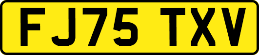 FJ75TXV