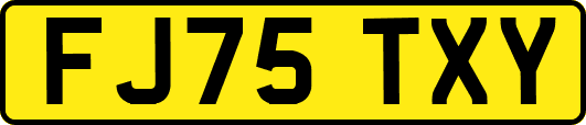 FJ75TXY