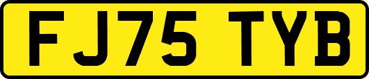 FJ75TYB