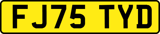 FJ75TYD