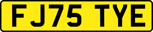 FJ75TYE