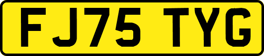FJ75TYG