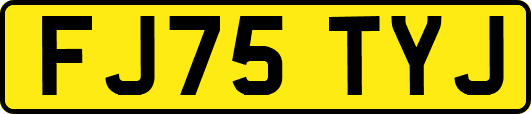 FJ75TYJ