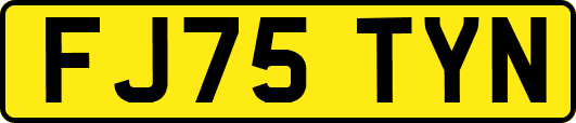 FJ75TYN