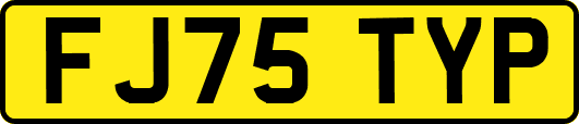 FJ75TYP