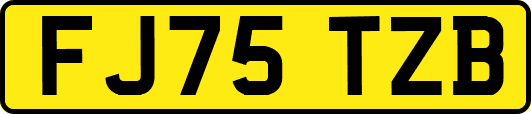FJ75TZB