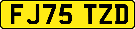 FJ75TZD