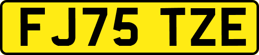 FJ75TZE
